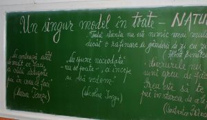 902451_607915015902921_1162692349_o